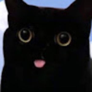 Meet your Posher, Summer